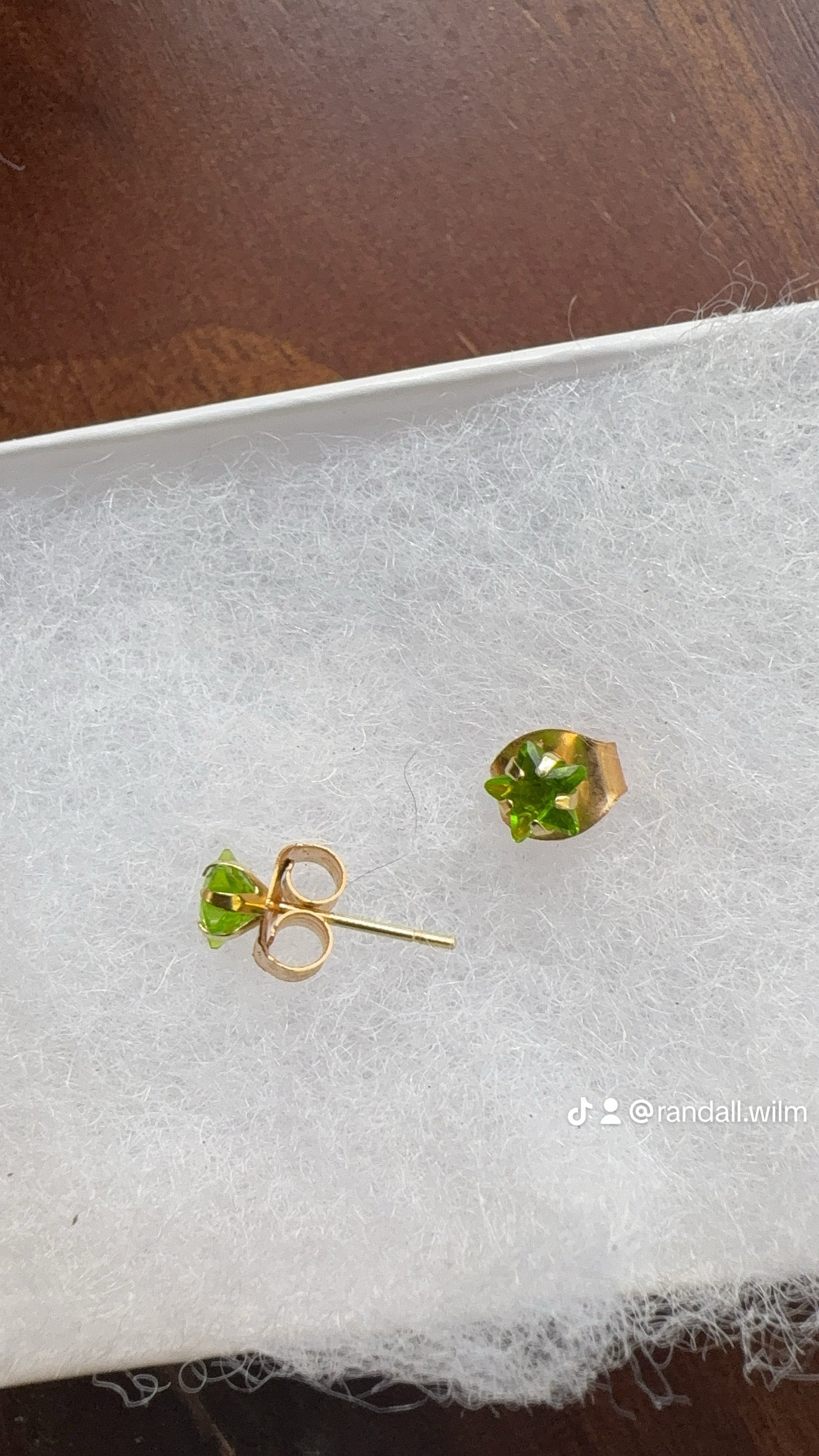 Earrings